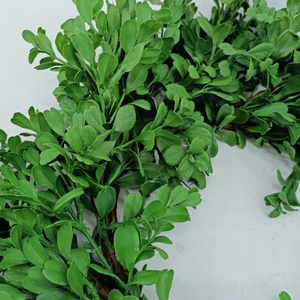 Bán Buôn Nhân Tạo Nho Cửa Gỗ Hoàng Dương Vòng Hoa - Product Image 3