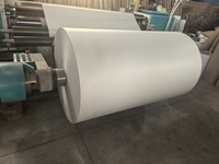 Papier de traceur thermocollant pour patron de vêtement, rouleau de 100 g/m², 48 pouces, avec colle thermocollante, prix usine