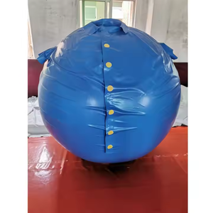 Combinaison gonflable en PVC durable de haute qualité personnalisable Beile, en forme de boule de myrtille, pour adultes, combinaison en PVC pour les fêtes en plein air - Product Image 1