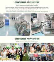 Poudre de Matcha Bio, Ingrédient de Thé Vert pour Boissons, Pâtisseries et Services Alimentaires, en Boîte