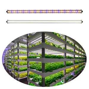 Vertikale Gestelle wachsen Box leuchtende Indoor-Gemüse blume Hydro ponik DIY Salat wachsen Licht Pflanze Licht für Zimmer pflanzen