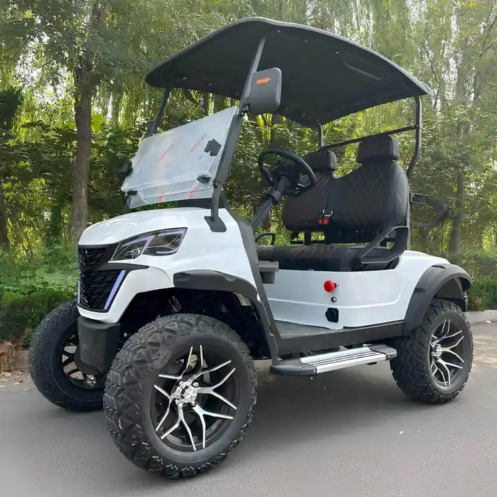 Golf Cart 2 Seater Off road