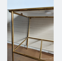 Table Centrale en Acier Inoxydable Cadre Métallique Table Basse Table de Présentation Géante Banc d'Entrée Console Luxueux Laiton Satiné Tendance Victorienne