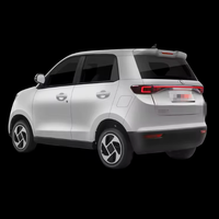 Lancement d'un nouveau produit Véhicule électrique à basse vitesse à propulsion arrière fabriqué en Chine