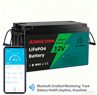 Аккумулятор LiFePO4 200 Ач 12,8 В для глубокого разряда, замена свинцово-кислотных аккумуляторов 12 В, со встроенной BMS, для солнечных систем, автодомов, ИБП, морского транспорта, напрямую от производителя, в наличии