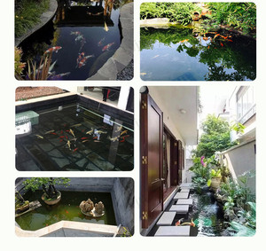 Lvju <span class=keywords><strong>Fish</strong></span> <span class=keywords><strong>Pond</strong></span> Hệ thống lọc trong nhà <span class=keywords><strong>Fish</strong></span> Farm Tank Hộp lọc với bộ lọc phương tiện truyền thông - Product Image 6