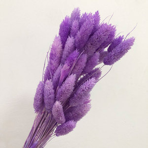 Venta al por mayor de alta calidad flor preservada piedras preciosas hierba seca <span class=keywords><strong>Phalaris</strong></span> para decoración del hogar DIY boda - Product Image 5