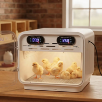 Incubateur-nouvel-né intelligent à température constante intégré OEM, adapté aux jeunes volailles avec garantie d'un an