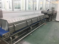 Industriële Fruit En Groenten Luchtgaas Bolt Transportband Ontwatering Afvoermachine Groente Dehydrator Droger