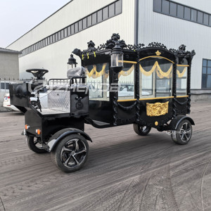 Customized Color Electric Horse-drawn Hearse Funeral Carriage Cart with Q235B Steel <b>Frame</b> High Quality Zhenda Brand for Sale - Product Image 1