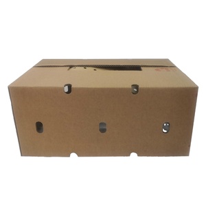Boîtes rigides en carton ondulé de qualité alimentaire, matériaux recyclés, pour l'expédition de fruits et légumes, emballage de tomates, oranges, pommes - Product Image 1