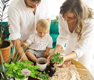 Kit de jardinage d'herbes aromatiques d'intérieur - Kit économique de démarrage <span class=keywords><strong>pour</strong></span> plantes aromatiques DIY, idées cadeaux <span class=keywords><strong>pour</strong></span> femmes, mamans, amies - Product Image 4