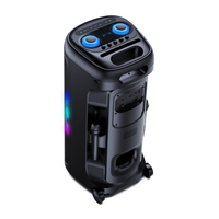Enceinte portable sans fil professionnelle 100W, son puissant, longue autonomie, spectacle de lumière RGB, basses profondes, enceinte de fête