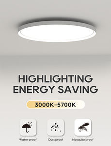 Lámparas <span class=keywords><strong>de</strong></span> techo <span class=keywords><strong>LED</strong></span> ultrafinas <span class=keywords><strong>de</strong></span> diseño europeo moderno para dormitorio y sala <span class=keywords><strong>de</strong></span> estar redonda nueva base <span class=keywords><strong>de</strong></span> aluminio iluminación <span class=keywords><strong>LED</strong></span> - Product Image 2