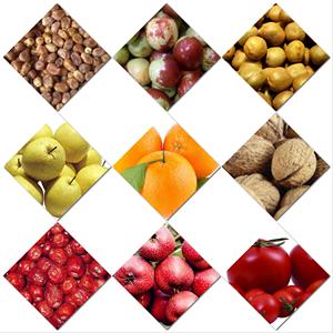 Máquina Procesadora de Frutas y Verduras Multifuncional Lerford Nueva, Fácil de Operar, Clasificación y Calibración, 220V/380V, 1 Año de Garantía - Product Image 4