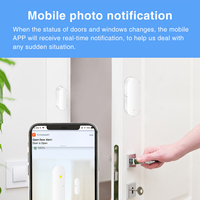 Capteurs de contact sans fil pour fenêtre ouverte/fermée Alexa Google Smart Life Tuya App, capteur de porte intelligent Wifi Tuya CE Blanc CN;GUA