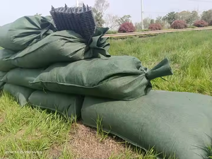 <span class=keywords><strong>Géotextile</strong></span> imperméable écologique moderne de protection de pente de berge de rivière de plage de sable de greening de pp <span class=keywords><strong>prix</strong></span> concurrentiel pour le <span class=keywords><strong>jardin</strong></span> - Product Image 2