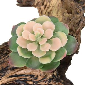 Mini piante finte <span class=keywords><strong>colorate</strong></span> artificiali <span class=keywords><strong>succulente</strong></span> per la decorazione della scrivania - Product Image 4