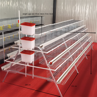 BANGYUAN Nuevo Jaula Automática Tipo A para Baterías de Gallinas Ponedoras, Modelo A-740 Galvanizado en Caliente para Granjas Avícolas, Alta Rentabilidad