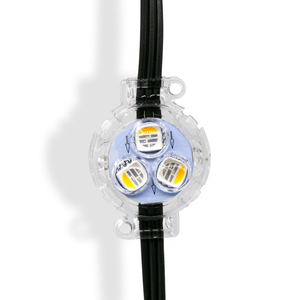 Treo <span class=keywords><strong>LED</strong></span> điểm ảnh Ánh sáng nút cho vườn cây trang trí, 12V RGB <span class=keywords><strong>pixel</strong></span> module với sigil coler | <span class=keywords><strong>LED</strong></span> <span class=keywords><strong>Pixel</strong></span> - Product Image 4