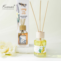 Ensemble Diffuseur à Bâtonnets 100 ml – Offre Spéciale, Parfum de Luxe Frais et Durable pour la Maison – Aromathérapie Apaisante Sans Odeur pour la Décoration de Chambre et Salon
