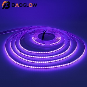 576 LED Wide RGB Flex Strip <b>Light</b> 5M DC12V 24V RGB Strip <b>Light</b> Color Changing Dimmable <b>Smart</b> COB Strips <b>Lights</b> - Product Image 3
