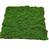 Tapis de mousse artificielle floquée pour photographie de paysage, bonsaï, mariage, décoration intérieure et extérieure écologique, 100cm/200cm