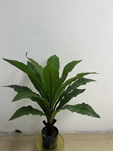 Hoja <span class=keywords><strong>de</strong></span> Asplenium Nidus <span class=keywords><strong>de</strong></span> Plástico <span class=keywords><strong>de</strong></span> Alta Calidad en Maceta para Decoración del Hogar, Bonsái Artificial, <span class=keywords><strong>Buxus</strong></span>, Vegetación <span class=keywords><strong>de</strong></span> Mesa, Helecho <span class=keywords><strong>de</strong></span> Seda Tipo Nido <span class=keywords><strong>de</strong></span> Pájaro - Product Image 4