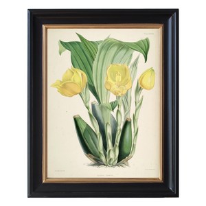 Quadro in Legno Personalizzato con Stampa Decorativa di Fiori Natiere, Opera d'Arte <span class=keywords><strong>da</strong></span> Parete, Decorazione Murale - Product Image 6