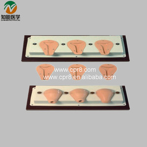 BIX-FT33A Model anatomi rahim hidup canggih ukuran hidup PVC alat sains medis aborsi buatan untuk pengajaran medis - Product Image 4