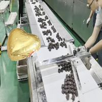 Machine d'emballage de chocolat en forme de cœur 3D avec distribution de colle à haut rendement entièrement automatisée et conçue sur mesure