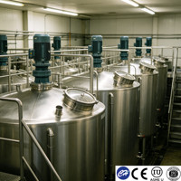 Equipo de Fermentación de Acero Inoxidable de Doble Tanque con Motor y Agitador para Bebidas Carbonatadas, Capacidad de 100L