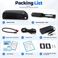 Batterie de vélo électrique 48V 20Ah en gros, pack de batteries lithium-ion 52V 30Ah pour remplacement de vélo électrique, fournisseur d'usine OEM