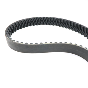 Correa de Distribución Acanalada Contitech B 2520 30mm OEM Original para la Marca - Product Image 6