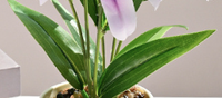 Tanaman Lily Buatan dalam Pot, Bunga Lily Palsu dengan Sentuhan Realistis, Bonsai dengan Pot untuk Dekorasi Meja Rumah dan Pernikahan