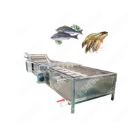 Automatische Groentewasmachine Commerciële Groente-En Fruitwasmachine Grote Groentewasmachine