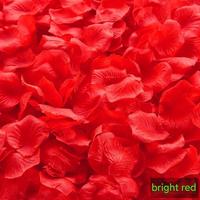 Pétales de Rose Rouge Pétales de Rose Fête de Mariage Pétales de Fleurs de Rose Fleur de Soie Artificielle Décor de la Saint-Valentin