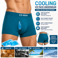 Sous-vêtements rafraîchissants pour sauna, 2 pochettes de gel réutilisables, poche avant, récupération post-chirurgie, entraînement, soulagement de la chaleur, caleçons boxers OEM