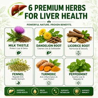 Sachets de thé détoxifiant pour le foie sans caféine, à base de plantes naturelles pour la santé hépatique, 9 herbes, qualité AAA, emballage en boîte, ISO22000, OEM