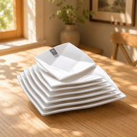 Assiettes de buffet carrées en mélamine blanche de haute qualité, vente chaude américaine