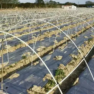 농장용 펄트루드 UV 내성 유리 섬유 스테이크, 날카로운 frp 유리 섬유 식물 지원 스테이크