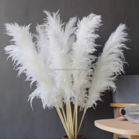 Grande herbe de pampa naturelle 2-4ft Grande vente de fleurs sèches pour la décoration intérieure Boho Decor Wedding Arch Floral Arranging Pampas Bouquet