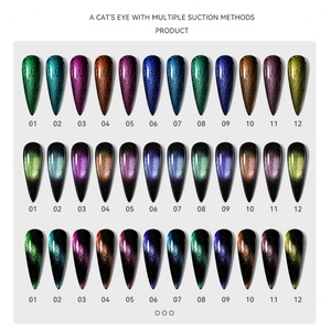 JTING Nouvelle Tendance 12 Couleurs Vernis à Ongles Gel Magnétique Effet Œil de Chat Caméléon 9D Réfléchissant 15ML en Bouteille OEM Marque Privée - Product Image 4