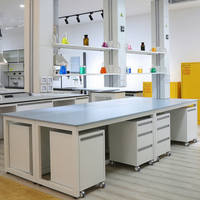 Banc de travail de laboratoire en fer avec armoire mobile pour hôpital et école