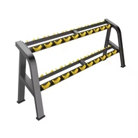 Support de rangement pour haltères DINUO à 2 et 3 niveaux, organisateur d'haltères pour salle de sport commerciale, présentoir