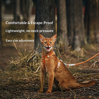 Produits pour animaux de compagnie Marque privée OEM Ensemble Harnais et laisse pour chat réglable, style sport et mode, en polyester, anti-évasion, longueur extensible, type gilet de promenade