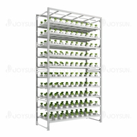 Banc de serre Tables multicouches Système de support de table de culture verticale Système de culture LED personnalisé à plusieurs niveaux pour plantes d'intérieur