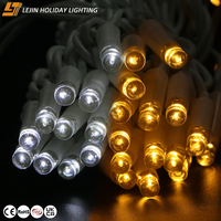 Guirnalda de Luces LED de Alta Calidad Personalizada para Jardín, Bodas y Decoración Navideña, con Control Remoto, Dos Colores, Clasificación IP65, 100 LED