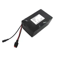 Lithium Iron Phosphate Battery Pack for E Bike