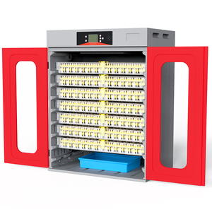 Incubadoras de <span class=keywords><strong>Huevos</strong></span> Rojas Chinas para Incubar <span class=keywords><strong>Huevos</strong></span> de <span class=keywords><strong>Gallina</strong></span> con Incubación Automática, Material PE, Nuevo - Product Image 5